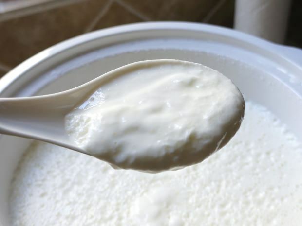 најлакши рецепт за јогурт