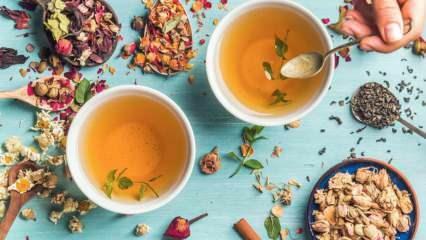 Који су биљни чајеви који најбрже сагоревају масти? 7 најефикаснијих биљних чајева за сагоревање масти! 