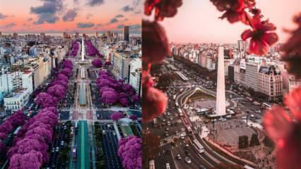 Град лепог времена: места која треба посетити у Буенос Аиресу!
