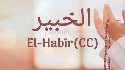 Шта значи ал-Хабир (ц.ц)? Које су врлине имена Ал-Хабир? Есмаул Хусна Ал-Хабир...