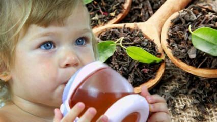 Да ли бебе могу пити чај?