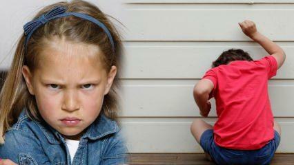 Како се носити са проблемом беса код деце? Узрок беса и агресије код деце 
