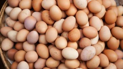 На шта треба узети у обзир приликом избора јајета?