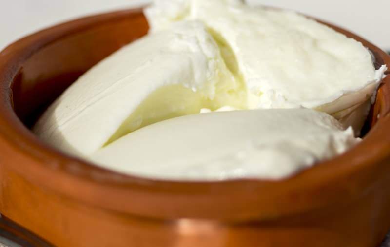 Које су предности јогурта од бивола? Како направити јогурт од водених бивола и шта он ради