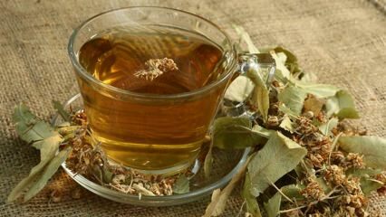 Које су предности липе? За које су болести добре? Како направити чај од липе?
