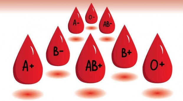 Шта ради дијета крвне групе?