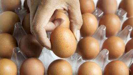 Практични савет за одржавање јаја свежима